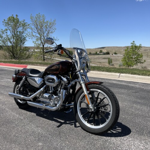 2009 Harley Davidson Sportster 1200 Low thumb 3