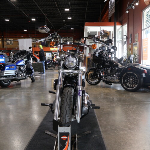 FXST 2020 Softail Standard® thumb 0