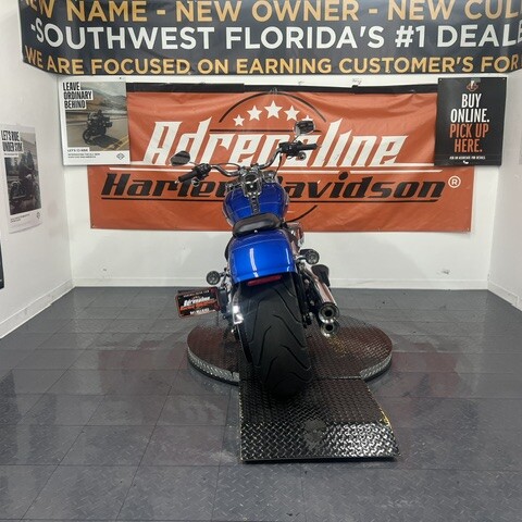 FLFB 2025 Fat Boy® thumb 3