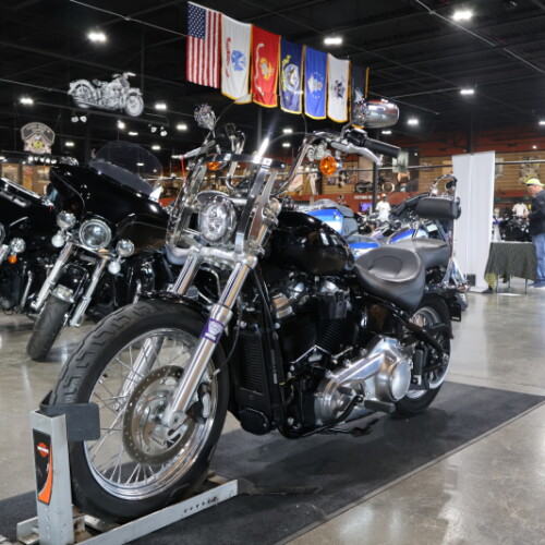 FXST 2020 Softail Standard® thumb 1