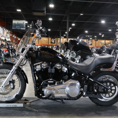FXST 2020 Softail Standard® thumb 3