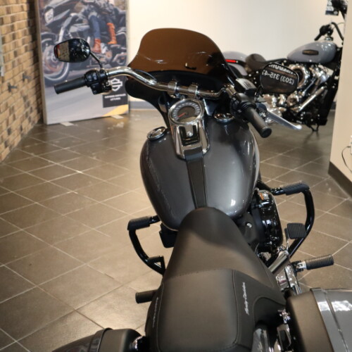 2021 Sport Glide® (FLSB) thumb 2
