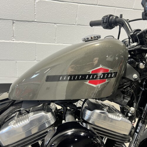 2019 Harley-Davidson® Forty-Eight® Industrial Gray  XL1200X thumb 3