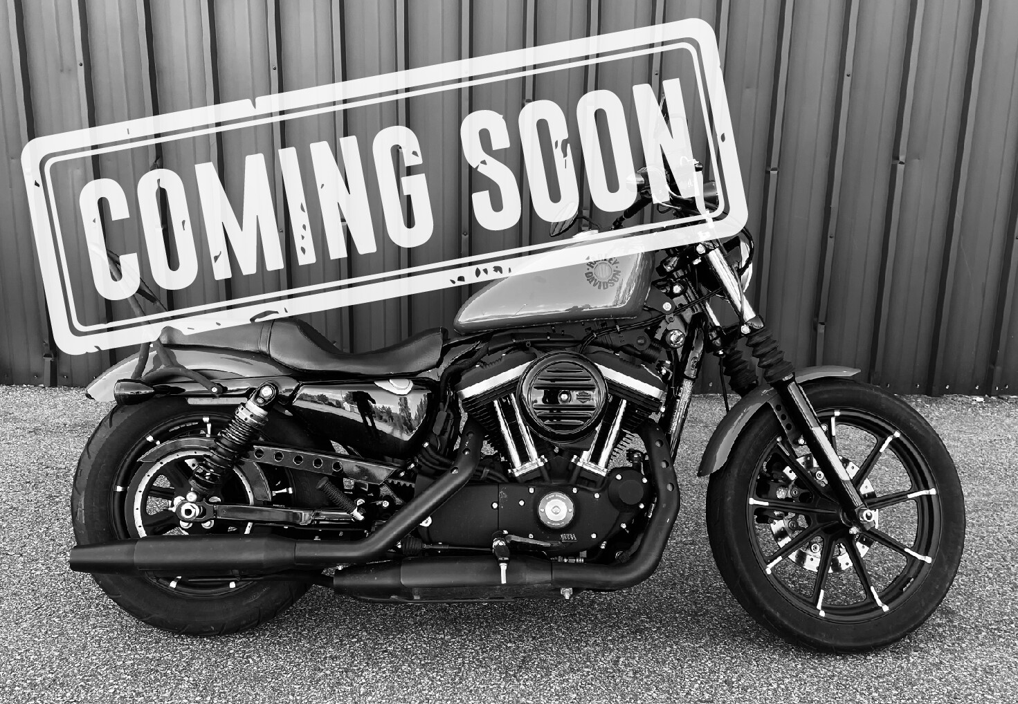 XL 883N 2022 Iron 883™