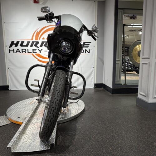 2004 Harley-Davidson® Wide Glide FXDWGI thumb 2