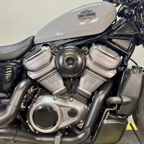 RH975 2024 Nightster™ thumb 3