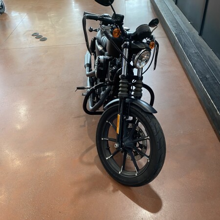 XL 883N 2020 Iron 883™ thumb 2