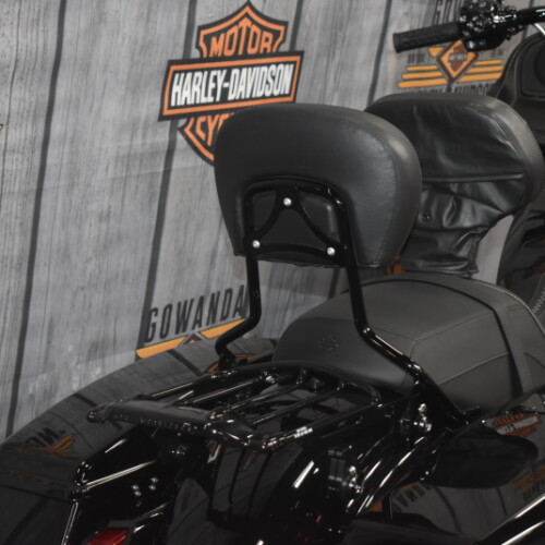 FLTRX 2024 Road Glide® thumb 0