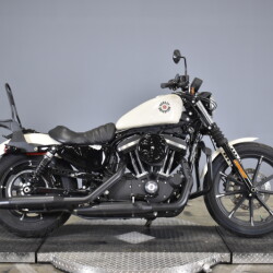 2022 Harley-Davidson® Iron 883™ White Sand Pearl | MotorCity
