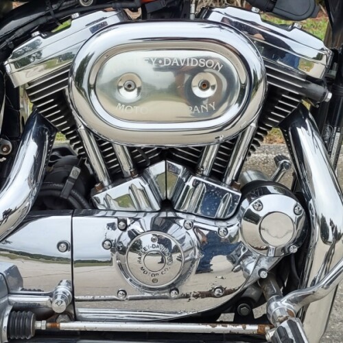 XL1200C 1998 Sportster 1200 Custom thumb 2