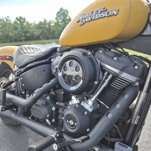 FXBB 2019 Street Bob® thumb 3