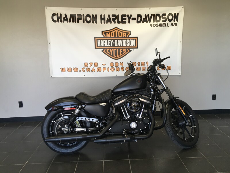 Iron 883™