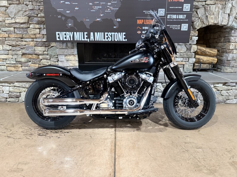 2018 FLSL - SOFTAIL SLIM