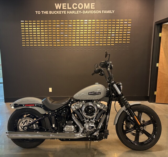 2025 Harley-Davidson® Street Bob® Billiard Gray w/Cast Wheels