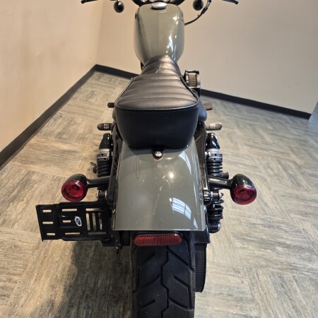 2021 Harley-Davidson® Iron 883™ Deadwood Green XL883N thumb 2