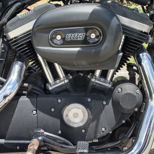 XL 883N 2015 Iron 883™ thumb 2