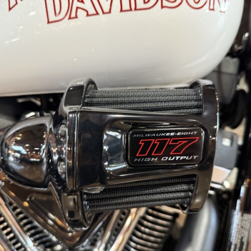 2026 FXLRS - LOWRIDER S  thumb 2