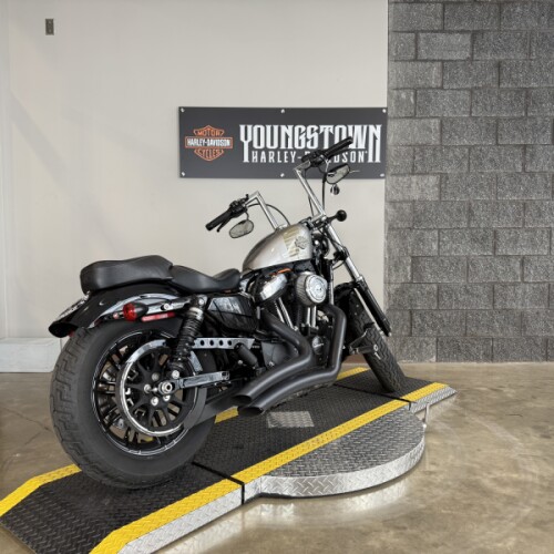 2017 Harley-Davidson® Forty-Eight® XL1200X thumb 2