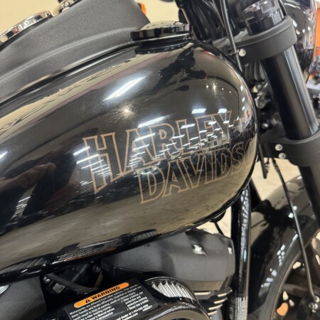 FXLRS 2021 Low Rider® S thumb 0