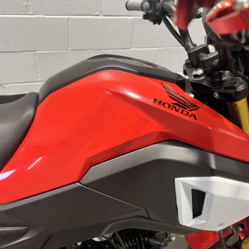 2019 Honda Grom™ ABS Cherry Red thumb 3