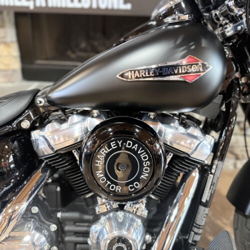 2018 FLSL - SOFTAIL SLIM thumb 3