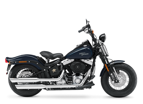 FLSTSB 2009 Softail® Cross Bones™