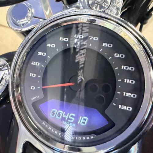FLFBS 2021 Fat Boy® 114 thumb 1
