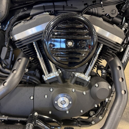 XL 883N 2021 Iron 883™ thumb 3