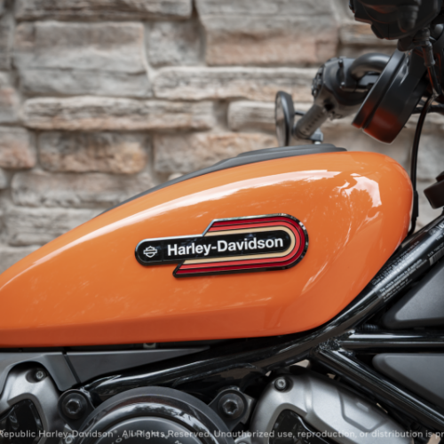 2024 Harley-Davidson® Nightster™ Special RH975S thumb 0