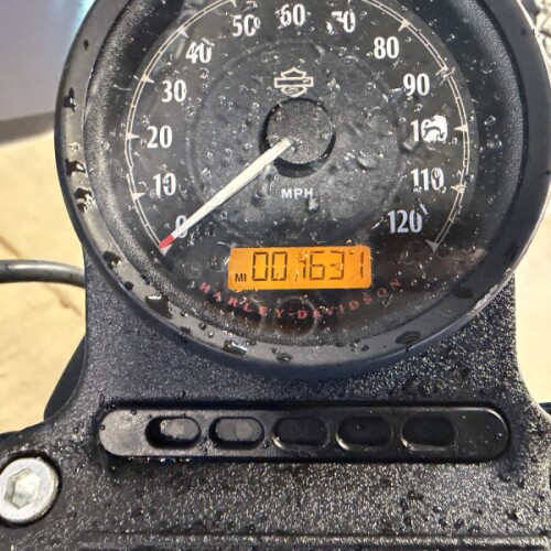 XL 883N 2021 Iron 883™ thumb 1