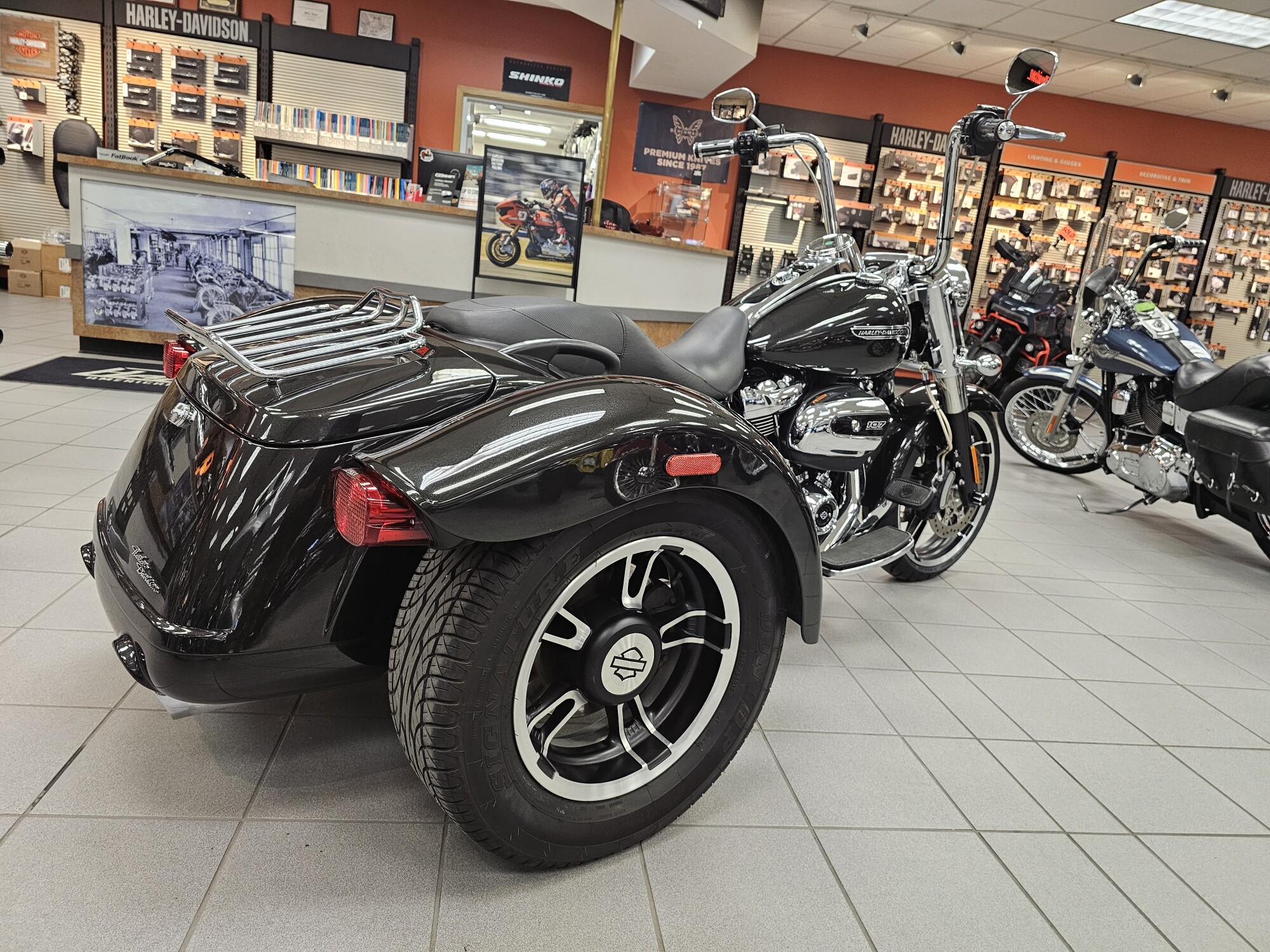 FLRT 2017 Freewheeler®, photo 8