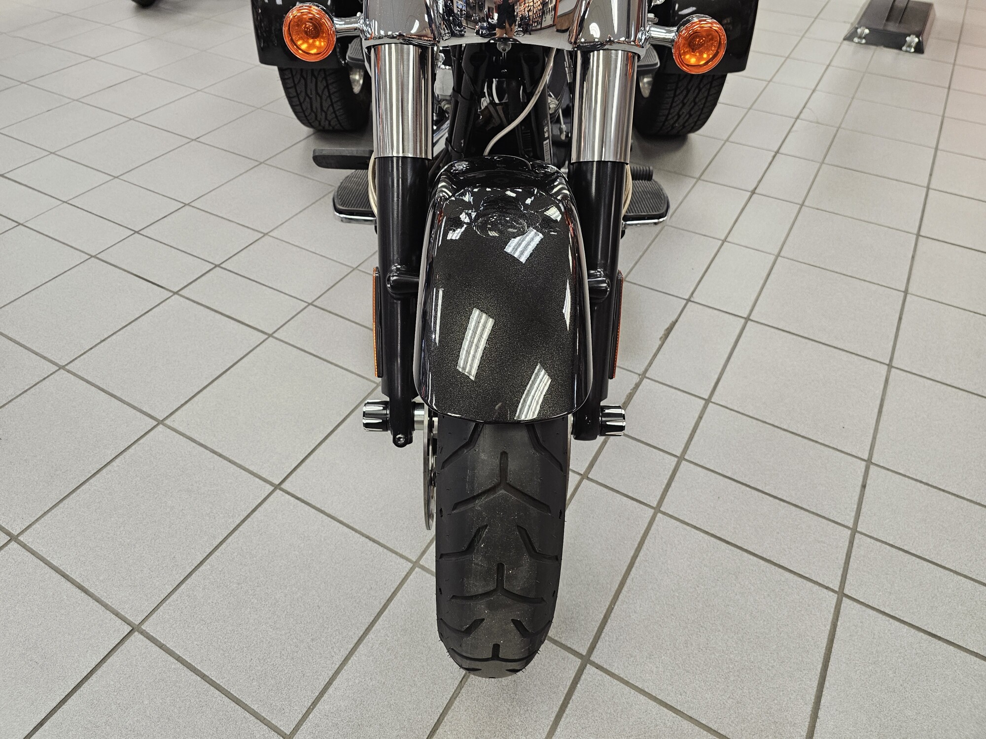 FLRT 2017 Freewheeler®, photo 14