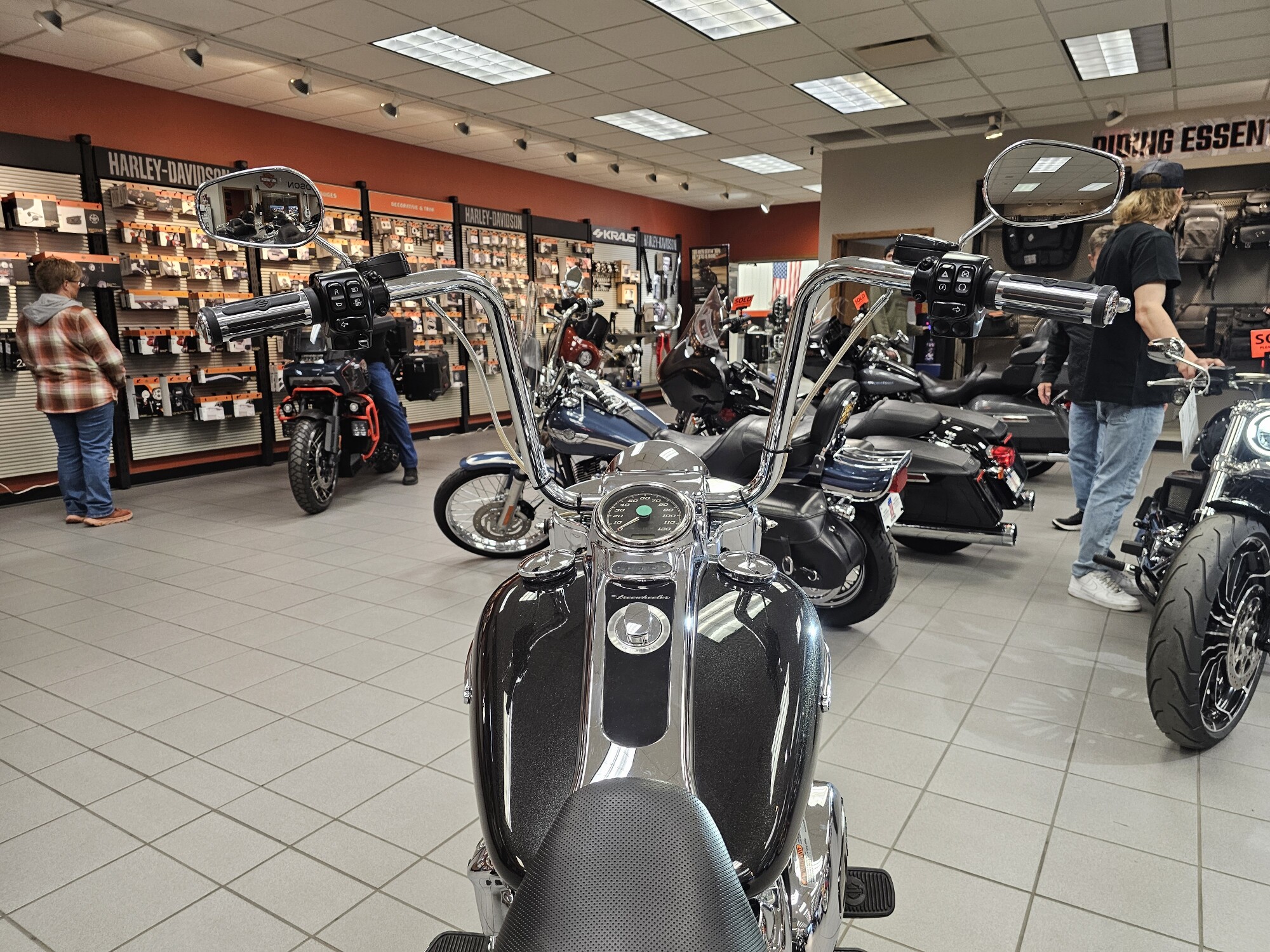 FLRT 2017 Freewheeler®, photo 26