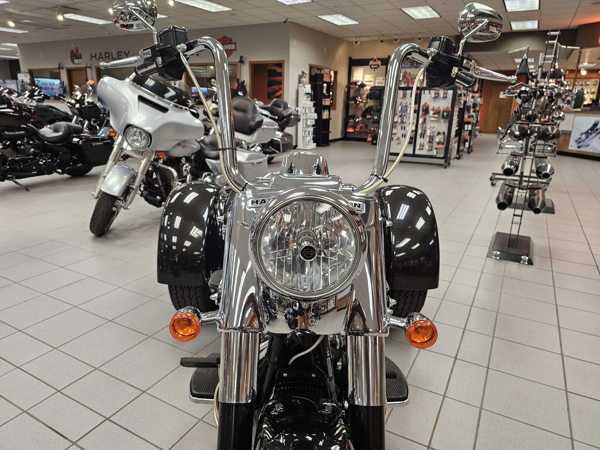 FLRT 2017 Freewheeler®, photo 15