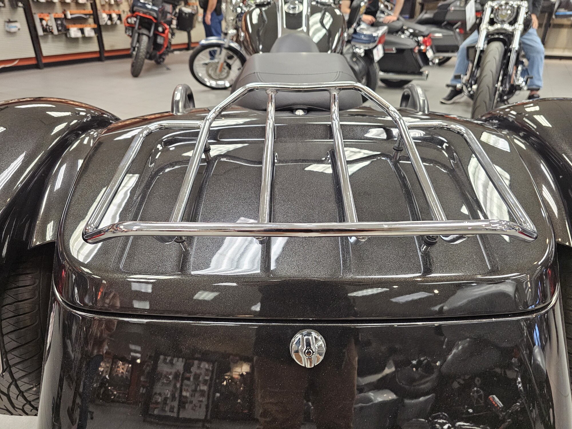 FLRT 2017 Freewheeler®, photo 23