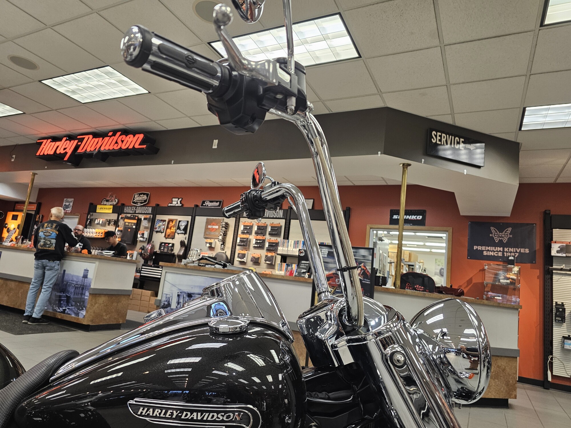 FLRT 2017 Freewheeler®, photo 9