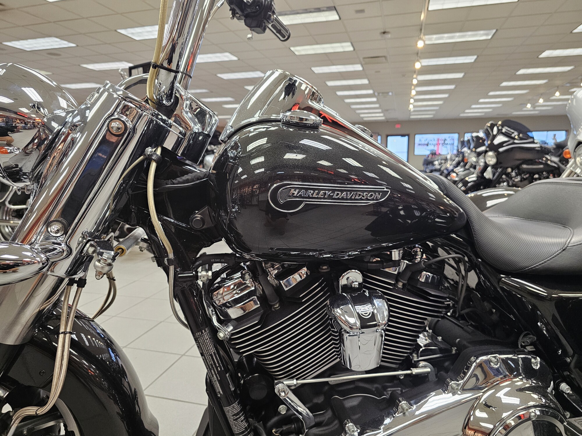 FLRT 2017 Freewheeler®, photo 18