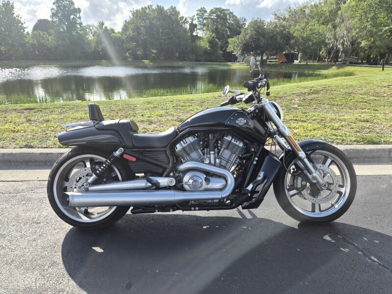 VRSCF 2017 V-Rod Muscle®