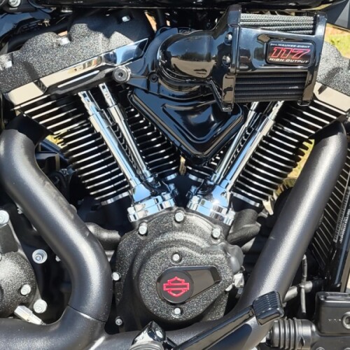 Harley-Davidson® Low Rider™ S 2026 thumb 2