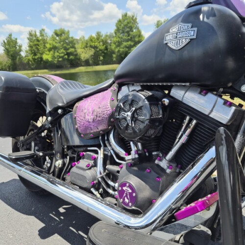 FLS 2016 Softail Slim® thumb 3