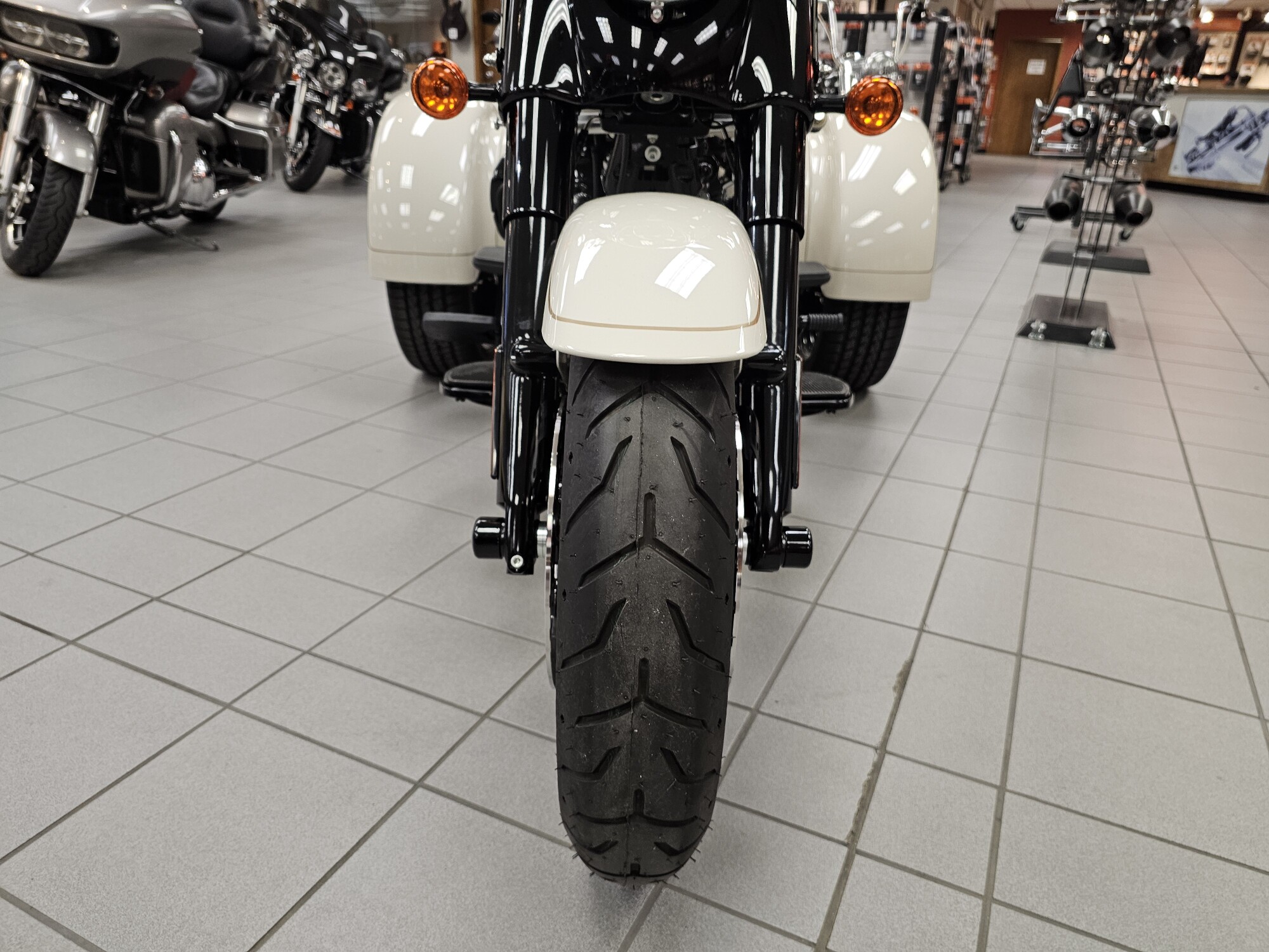 FLRT 2023 Freewheeler®, photo 26