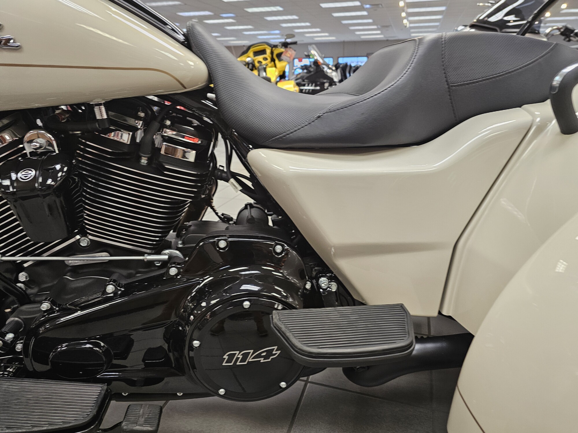 FLRT 2023 Freewheeler®, photo 19