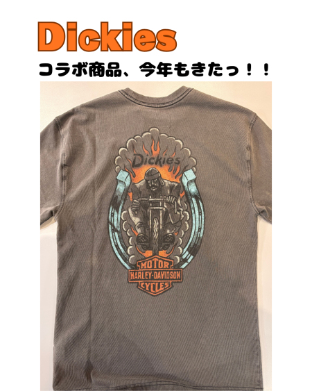 今年もDickiesとHARLEY DAVIDSONコラボしてます🧡