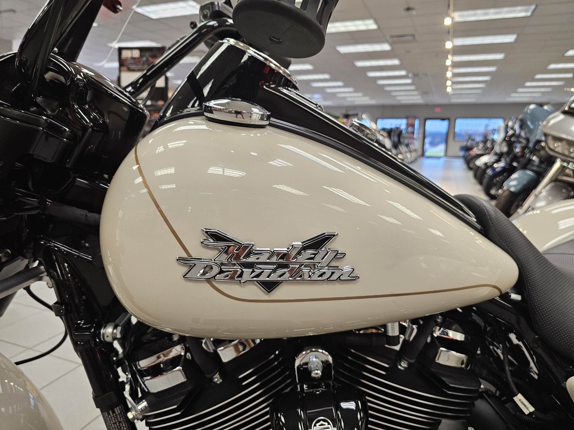 FLRT 2023 Freewheeler®, photo 17