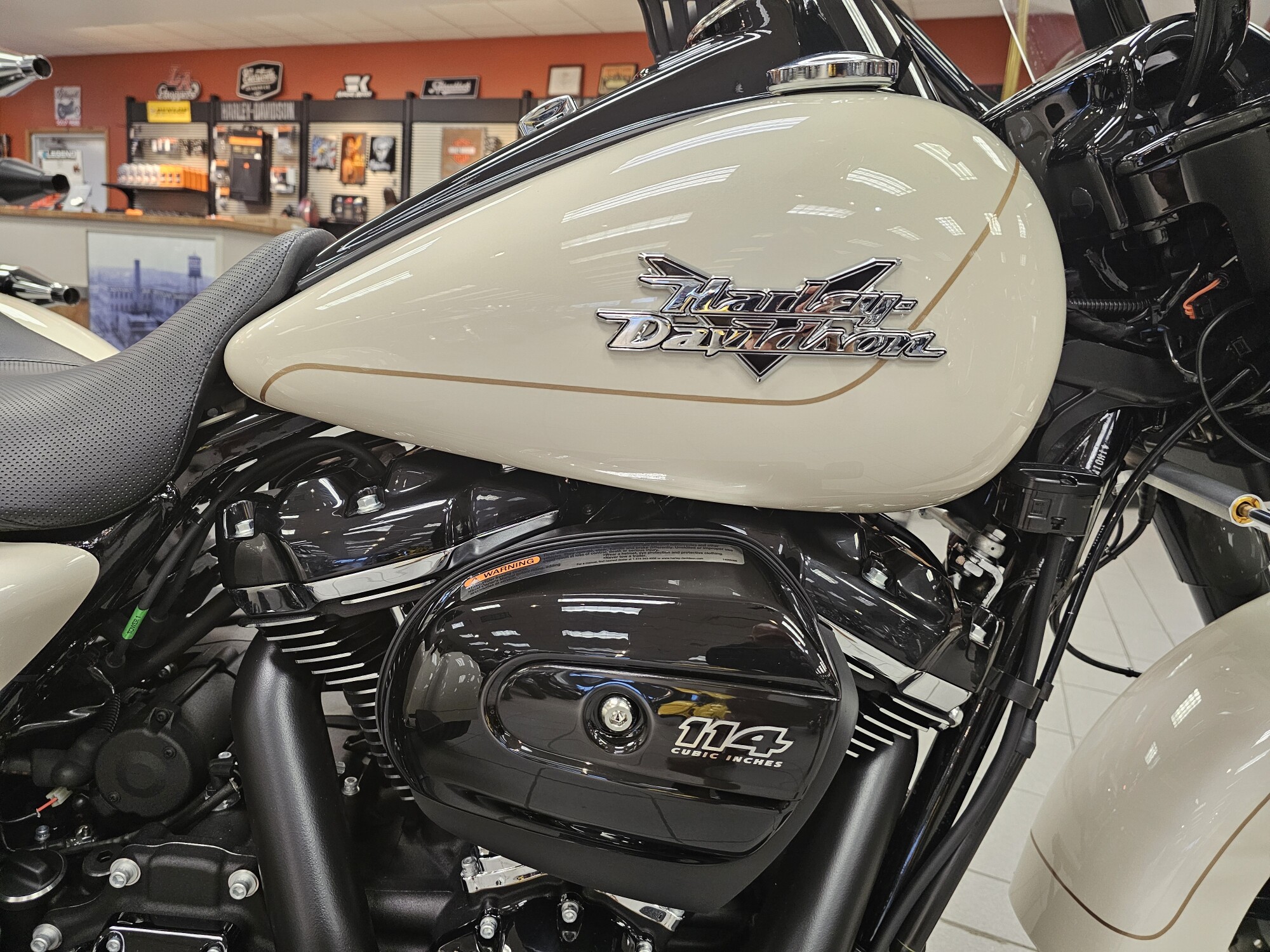 FLRT 2023 Freewheeler®, photo 9