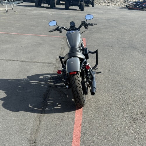 XL 883N 2022 Iron 883™ thumb 0