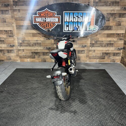 2026 Triumph Trident 800 Ash Grey thumb 2