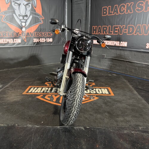 2014 Harley-Davidson® Softail Slim® FLS thumb 1