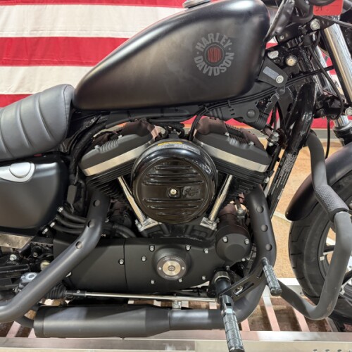 XL 883N 2022 Iron 883™ thumb 0
