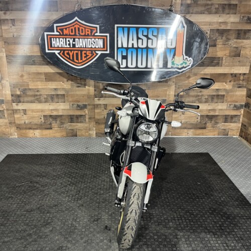 2026 Triumph Trident 800 Ash Grey thumb 3